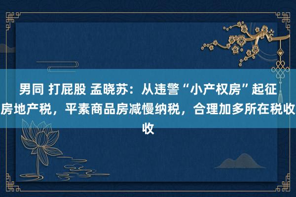 男同 打屁股 孟晓苏：从违警“小产权房”起征房地产税，平素商品房减慢纳税，合理加多所在税收