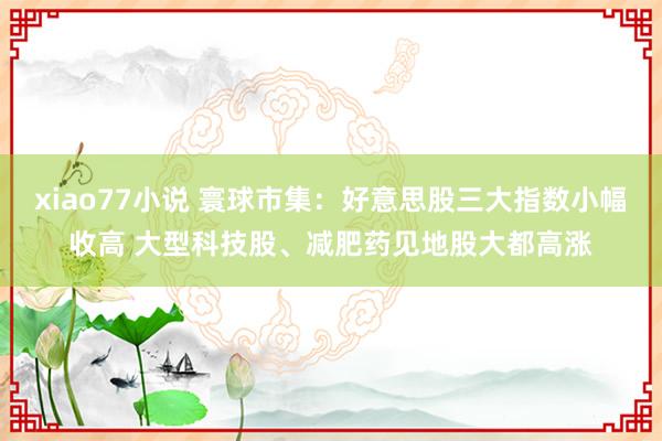 xiao77小说 寰球市集：好意思股三大指数小幅收高 大型科技股、减肥药见地股大都高涨