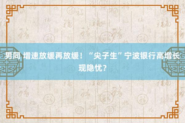 男同 增速放缓再放缓！“尖子生”宁波银行高增长现隐忧？