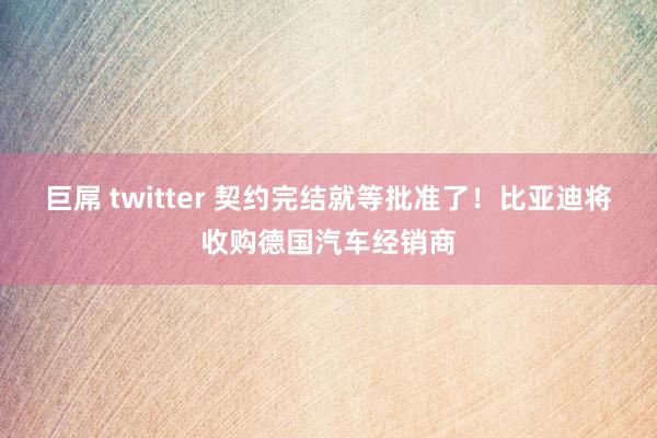 巨屌 twitter 契约完结就等批准了！比亚迪将收购德国汽车经销商