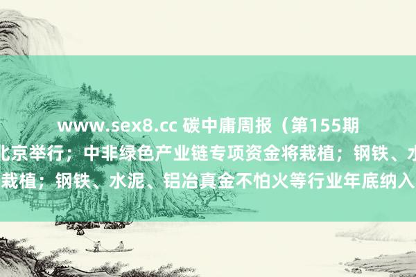 www.sex8.cc 碳中庸周报（第155期）丨中好意思局面会谈在北京举行；中非绿色产业链专项资金将栽植；钢铁、水泥、铝冶真金不怕火等行业年底纳入寰球碳市集