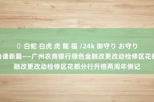 ✨白蛇 白虎 虎 龍 福 /24k 御守り お守り 新居“碳”新路，乘势谱新篇——广州农商银行绿色金融改更改动检修区花都分行升格两周年侧记