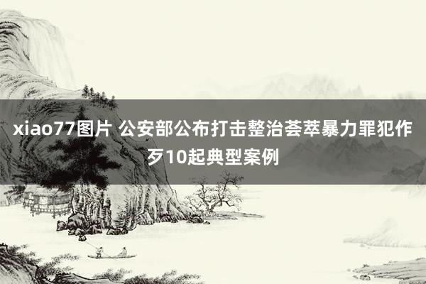 xiao77图片 公安部公布打击整治荟萃暴力罪犯作歹10起典型案例