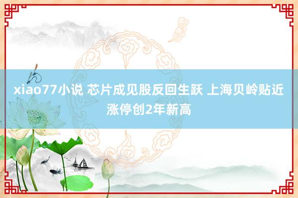 xiao77小说 芯片成见股反回生跃 上海贝岭贴近涨停创2年新高