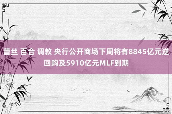 蕾丝 百合 调教 央行公开商场下周将有8845亿元逆回购及5910亿元MLF到期