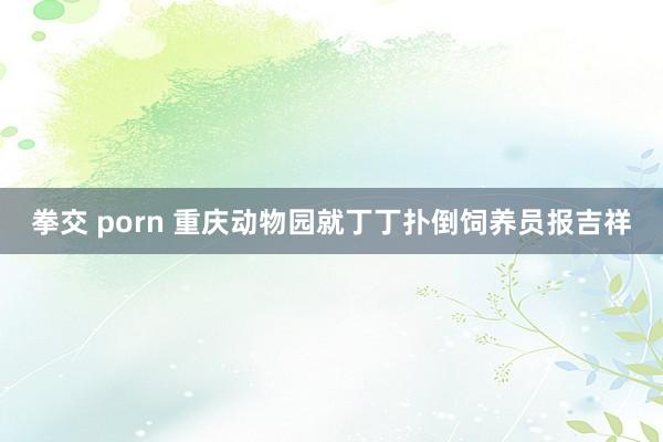 拳交 porn 重庆动物园就丁丁扑倒饲养员报吉祥