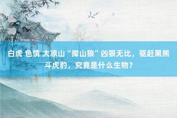 白虎 色情 大凉山“撵山狼”凶狠无比，驱赶黑熊斗虎豹，究竟是什么生物？