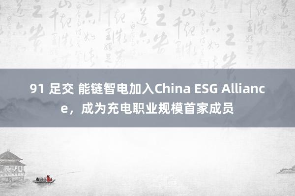 91 足交 能链智电加入China ESG Alliance，成为充电职业规模首家成员