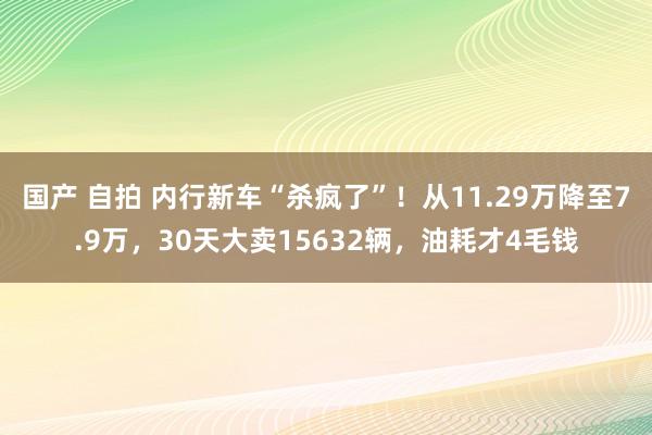 国产 自拍 内行新车“杀疯了”！从11.29万降至7.9万，30天大卖15632辆，油耗才4毛钱