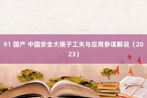 91 国产 中国安全大模子工夫与应用参谋解说（2023）