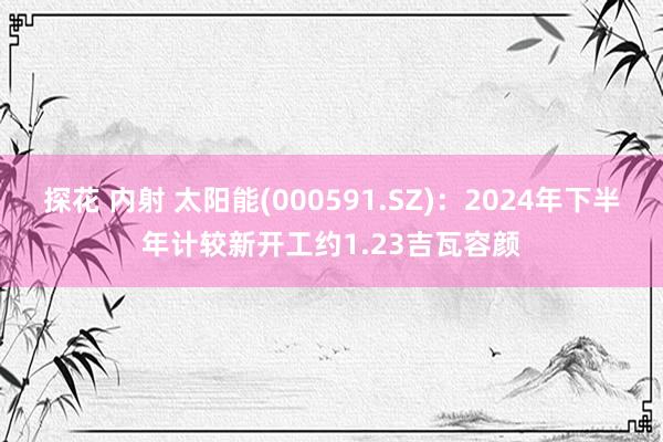 探花 内射 太阳能(000591.SZ)：2024年下半年计较新开工约1.23吉瓦容颜