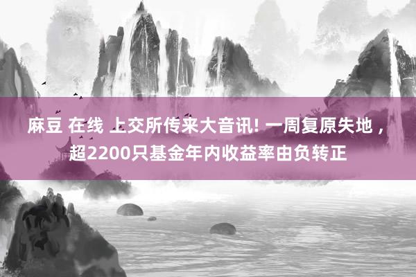 麻豆 在线 上交所传来大音讯! 一周复原失地 ， 超2200只基金年内收益率由负转正