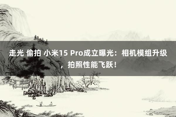 走光 偷拍 小米15 Pro成立曝光：相机模组升级，拍照性能飞跃！