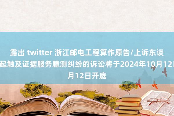 露出 twitter 浙江邮电工程算作原告/上诉东谈主的1起触及证据服务臆测纠纷的诉讼将于2024年10月12日开庭