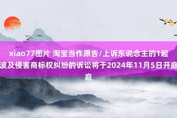 xiao77图片 淘宝当作原告/上诉东说念主的1起波及侵害商标权纠纷的诉讼将于2024年11月5日开庭