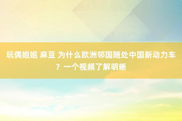 玩偶姐姐 麻豆 为什么欧洲邻国随处中国新动力车？一个视频了解明晰