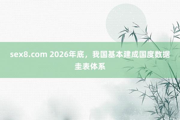 sex8.com 2026年底，我国基本建成国度数据圭表体系