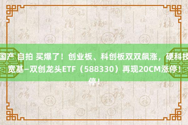 国产 自拍 买爆了！创业板、科创板双双飙涨，硬科技宽基—双创龙头ETF（588330）再现20CM涨停！