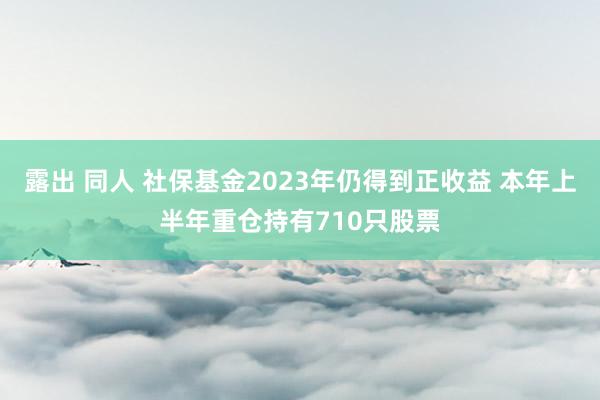 露出 同人 社保基金2023年仍得到正收益 本年上半年重仓持有710只股票