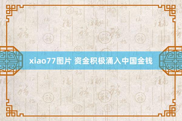 xiao77图片 资金积极涌入中国金钱