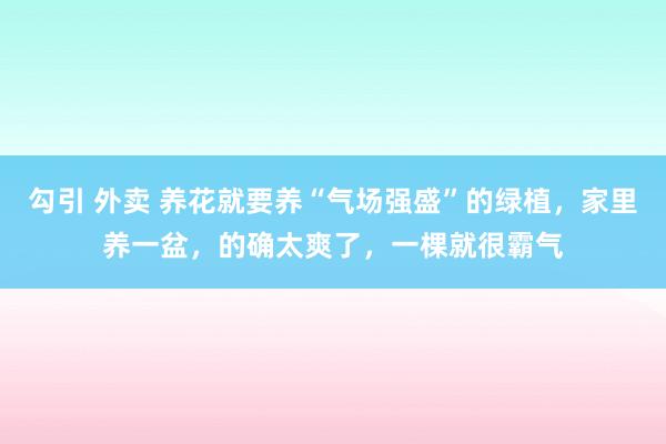 勾引 外卖 养花就要养“气场强盛”的绿植，家里养一盆，的确太爽了，一棵就很霸气