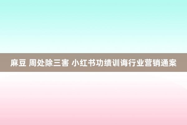 麻豆 周处除三害 小红书功绩训诲行业营销通案