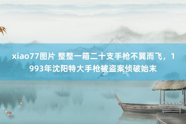 xiao77图片 整整一箱二十支手枪不翼而飞，1993年沈阳特大手枪被盗案侦破始末