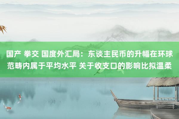 国产 拳交 国度外汇局：东谈主民币的升幅在环球范畴内属于平均水平 关于收支口的影响比拟温柔