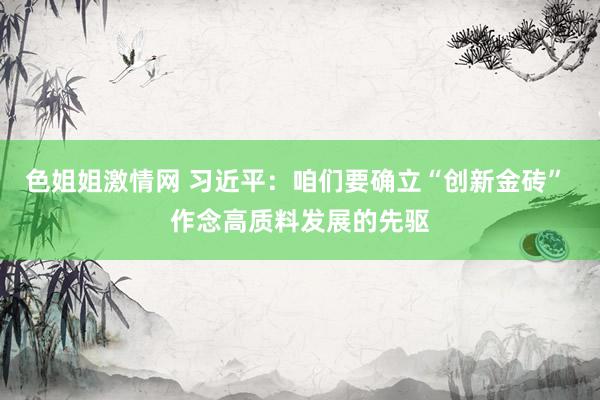 色姐姐激情网 习近平：咱们要确立“创新金砖” 作念高质料发展的先驱