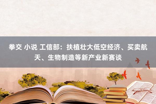 拳交 小说 工信部：扶植壮大低空经济、买卖航天、生物制造等新产业新赛谈