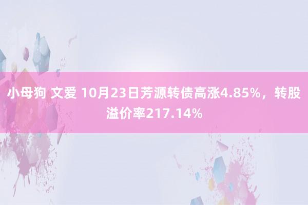 小母狗 文爱 10月23日芳源转债高涨4.85%，转股溢价率217.14%