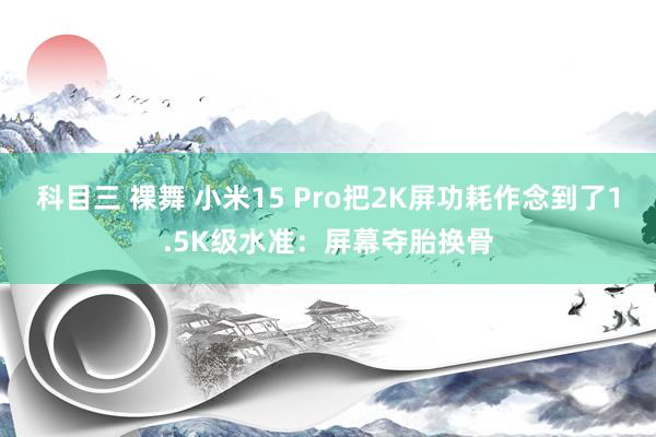 科目三 裸舞 小米15 Pro把2K屏功耗作念到了1.5K级水准：屏幕夺胎换骨