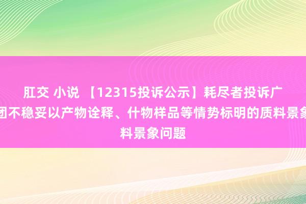 肛交 小说 【12315投诉公示】耗尽者投诉广汽集团不稳妥以产物诠释、什物样品等情势标明的质料景象问题