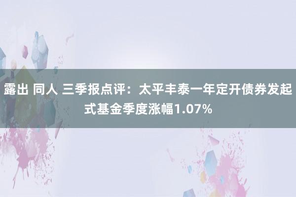 露出 同人 三季报点评：太平丰泰一年定开债券发起式基金季度涨幅1.07%