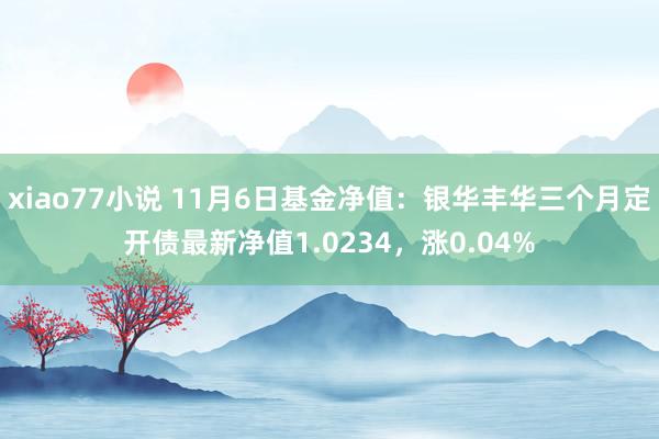 xiao77小说 11月6日基金净值：银华丰华三个月定开债最新净值1.0234，涨0.04%