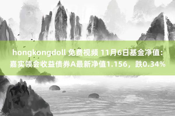 hongkongdoll 免费视频 11月6日基金净值：嘉实领会收益债券A最新净值1.156，跌0.34%