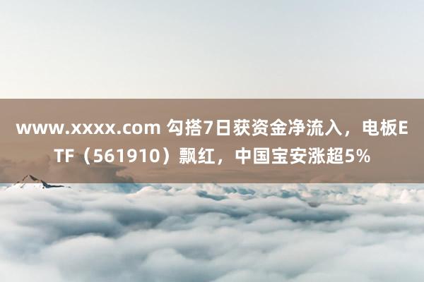 www.xxxx.com 勾搭7日获资金净流入，电板ETF（561910）飘红，中国宝安涨超5%