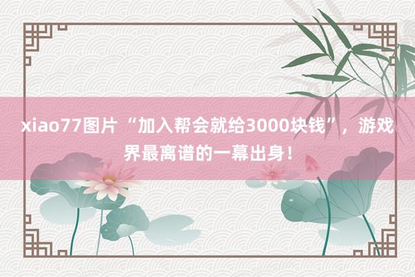 xiao77图片 “加入帮会就给3000块钱”，游戏界最离谱的一幕出身！