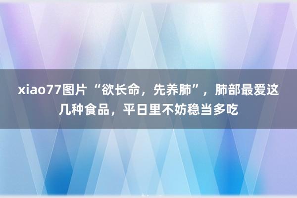 xiao77图片 “欲长命，先养肺”，肺部最爱这几种食品，平日里不妨稳当多吃