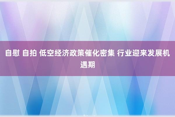 自慰 自拍 低空经济政策催化密集 行业迎来发展机遇期