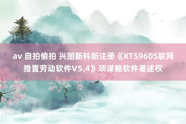 av 自拍偷拍 兴图新科新注册《XT5960S联网措置劳动软件V5.4》项谋略软件著述权