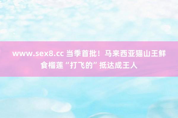 www.sex8.cc 当季首批！马来西亚猫山王鲜食榴莲“打飞的”抵达成王人