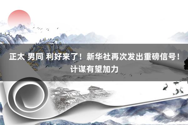 正太 男同 利好来了！新华社再次发出重磅信号！计谋有望加力