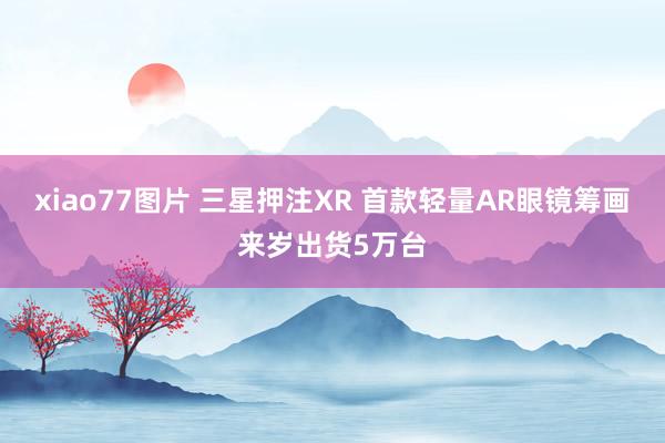 xiao77图片 三星押注XR 首款轻量AR眼镜筹画来岁出货5万台