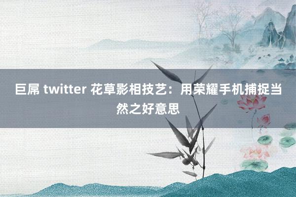 巨屌 twitter 花草影相技艺：用荣耀手机捕捉当然之好意思