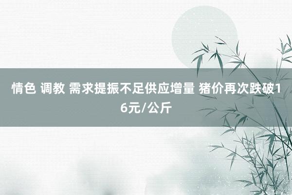 情色 调教 需求提振不足供应增量 猪价再次跌破16元/公斤