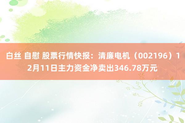 白丝 自慰 股票行情快报：清廉电机（002196）12月11日主力资金净卖出346.78万元