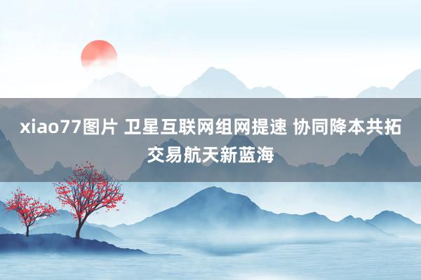 xiao77图片 卫星互联网组网提速 协同降本共拓交易航天新蓝海