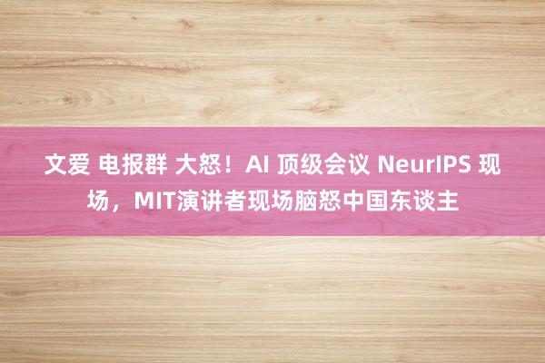 文爱 电报群 大怒！AI 顶级会议 NeurIPS 现场，MIT演讲者现场脑怒中国东谈主