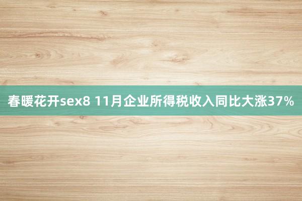 春暖花开sex8 11月企业所得税收入同比大涨37%